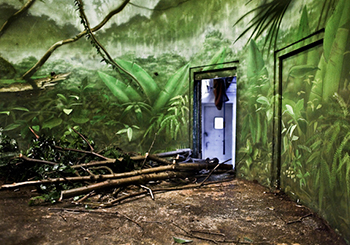 Art, photography, daniel kukla