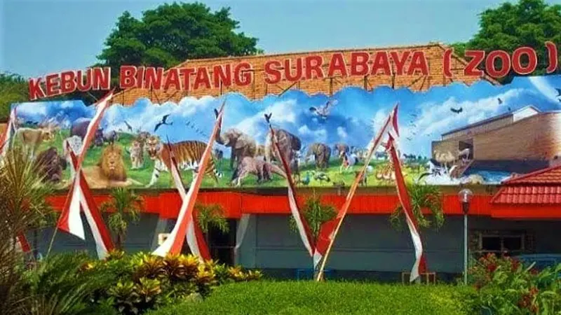 Kebun Binatang Surabaya: Menikmati Keajaiban Satwa di Tengah Kota