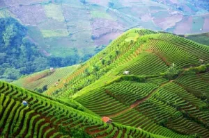 Tempat Wisata di Majalengka